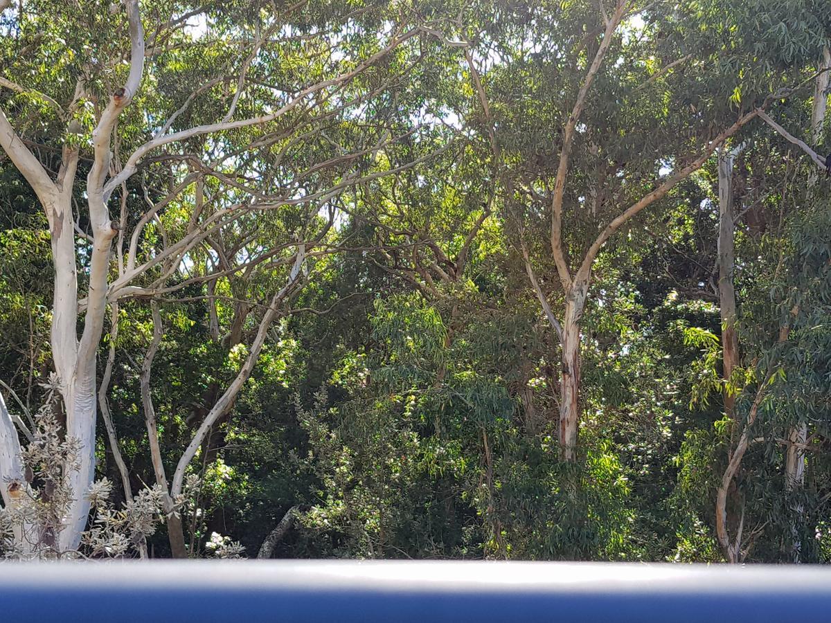 Chill-Out Beachside - Main Beach Forster Luaran gambar